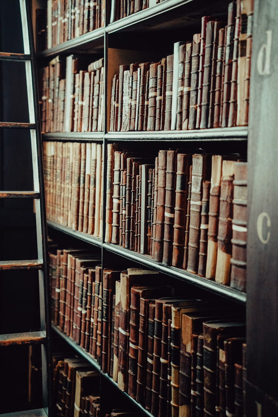 Atmospheric old library with tall wooden shelves full of books